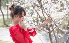 色情性生交大片免费看